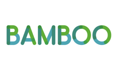 Bamboo personal loan 
